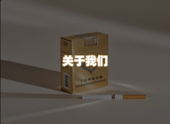 关于蓝帝网